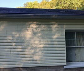 Shadow of trees cast on the side of a house with yellow siding and a window on the right side.
